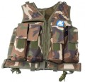 NL carrier camo 1.jpg