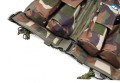 NL carrier camo 2.jpg