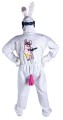 rabbit suit 2.jpg