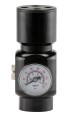 HPA LP regulator 1.jpg