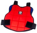 Soger reversible kid 1.jpg